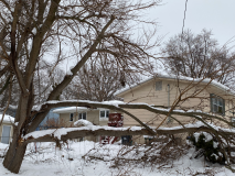 snow-tree-20240111-014