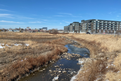 iowa-city-spring-2022-001