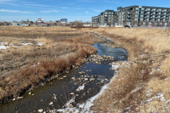 iowa-city-spring-2022-002