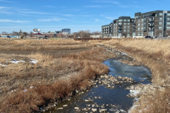 iowa-city-spring-2022-004