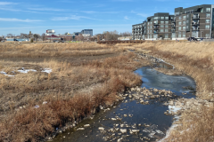 iowa-city-spring-2022-005