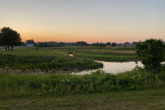 iowa-city-summer-2022-014