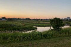 iowa-city-summer-2022-015