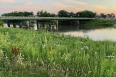 iowa-city-summer-2022-024