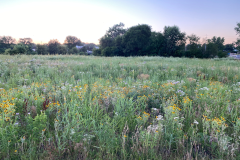 iowa-city-summer-2022-026