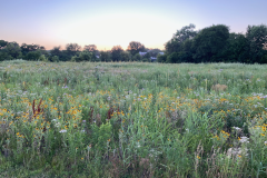 iowa-city-summer-2022-027