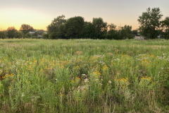 iowa-city-summer-2022-028