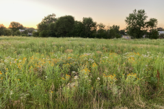iowa-city-summer-2022-029