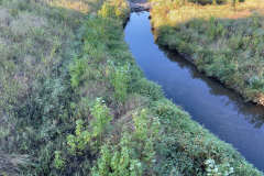 iowa-city-summer-2022-063