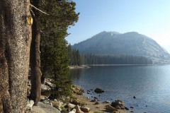 yosemite-2015-008 yosemite-2015-008