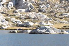 yosemite-2015-020 yosemite-2015-020