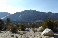 yosemite-2015-024
