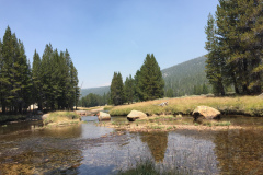 yosemite-2015-046 yosemite-2015-046
