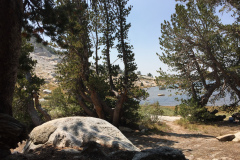 yosemite-2015-052 yosemite-2015-052